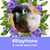 Mary Kostiw's profile image
