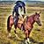 Pequena Lulu's profile image