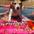 Maureen Heiss's profile image