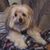 MaryAnn Sanford's profile image
