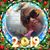 Nancy Kay Mshar Bihlmeyer's profile image