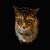 Gloria Blomberg's profile image