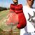 Event-boxe Cohe's profile image