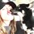 Allie Slis's profile image