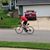 Jose L Flor's profile image