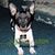 Mary Ellen Pizzi's profile image