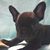 Cheryl Ann's profile image