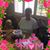 Mary Hazelberg's profile image