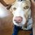 Angie Bustamante's profile image