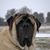 Gretchen Mayberry's profile image