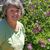 Linda Court Knight's profile image