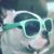 Mochi Paws's profile image