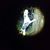Jesse Burkett's profile image