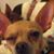 Chrissie Davila's profile image