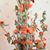 Debbie Williams Mullaly's profile image