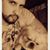 Jorge Ascencio's profile image