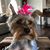 Pam Culver's profile image