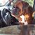 Penny Ballein Fancher's profile image