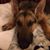 Donna Fisher Richards's profile image