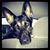 Kari Blake Fritts's profile image