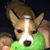 Jennifer Hupman Motta's profile image