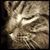 Jaimelyn Stegeman's profile image