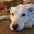 Micah E Swafford's profile image
