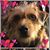 Patricia A. Kurtz's profile image