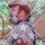 Knapp Jr. Francis Rebel Richard's profile image