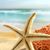 Dawn Dunn's profile image