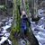 Mary Ellen Napier Schlarmann's profile image