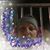 Rebecca Ellisor Dean's profile image