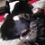 Wende Bex's profile image