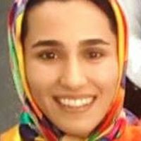 Fakhereh Moieni's profile image