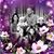Daphne Boyd's profile image