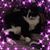 Brenda Hayes Johnson's profile image
