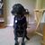 Timothy Kelley's profile image