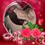 Jason Rodriguez's profile image