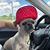 Ginger Greger Patton's profile image