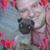 Derek Olsen's profile image