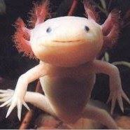 Bill Rieger's profile image