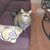Karen Lou Spurr's profile image