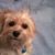 Barbara Gleason Cheshire's profile image