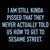 Allison Korba's profile image