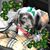 Connie Schneider's profile image