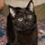 Catherine Vinson's profile image