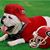 Randy Cannady's profile image