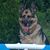 Karen Cormier-macIsaac's profile image