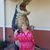 Kathy Greifenstein's profile image