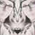 April Pahl's profile image